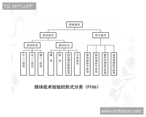 成都排球队反击体系解析：排球战术的创新与实践探索